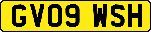 GV09WSH