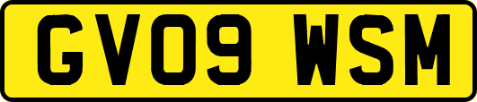 GV09WSM