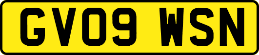 GV09WSN