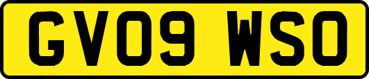 GV09WSO