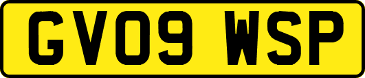 GV09WSP