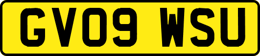GV09WSU