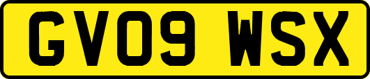 GV09WSX