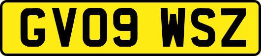 GV09WSZ