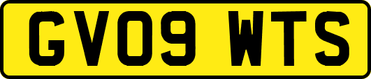 GV09WTS