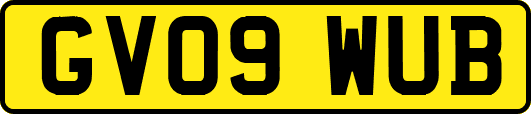 GV09WUB
