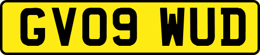 GV09WUD