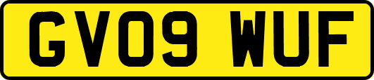 GV09WUF