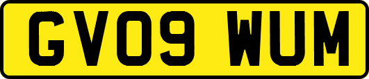 GV09WUM
