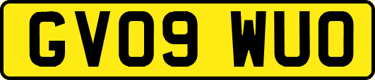 GV09WUO
