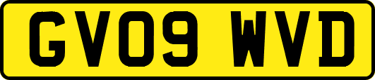 GV09WVD