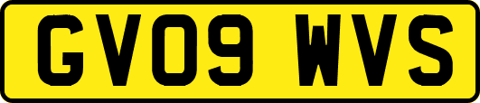 GV09WVS