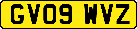 GV09WVZ