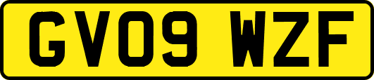GV09WZF