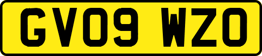 GV09WZO