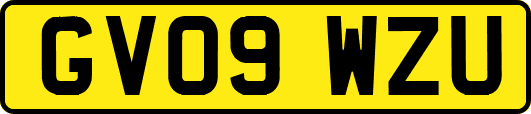 GV09WZU