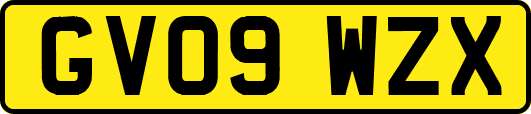 GV09WZX