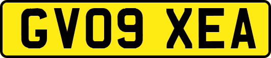 GV09XEA