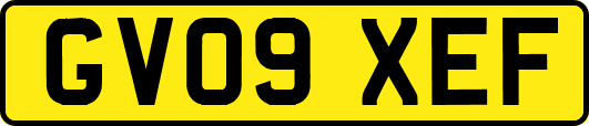 GV09XEF