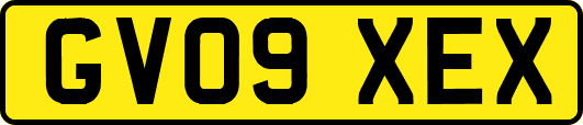 GV09XEX