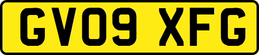 GV09XFG