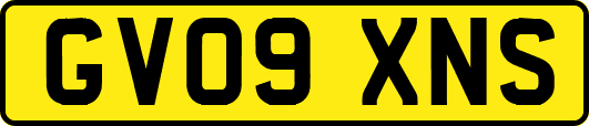 GV09XNS