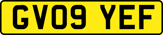 GV09YEF