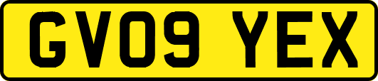 GV09YEX