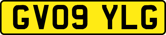 GV09YLG