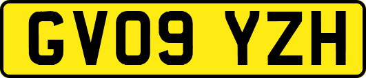 GV09YZH