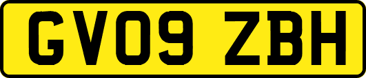 GV09ZBH