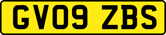 GV09ZBS