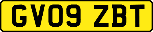 GV09ZBT