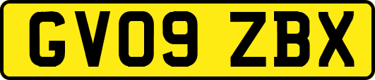 GV09ZBX