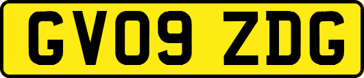 GV09ZDG