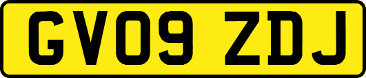 GV09ZDJ