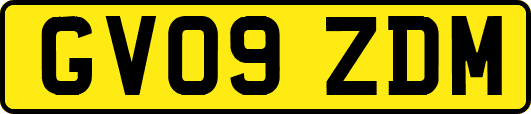 GV09ZDM