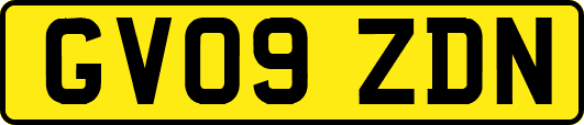 GV09ZDN