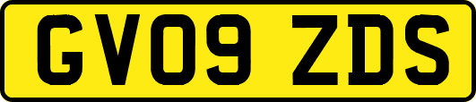 GV09ZDS