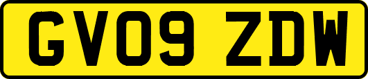 GV09ZDW