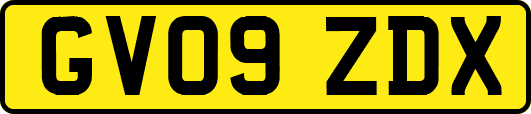 GV09ZDX
