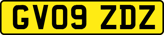 GV09ZDZ