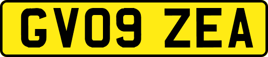 GV09ZEA
