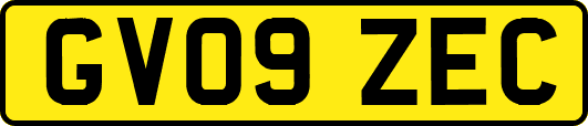 GV09ZEC