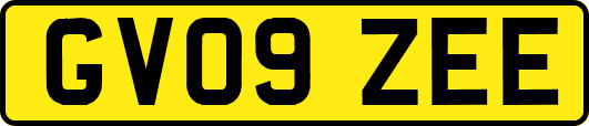 GV09ZEE