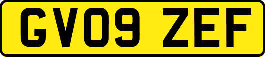 GV09ZEF