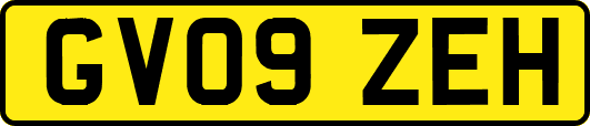GV09ZEH
