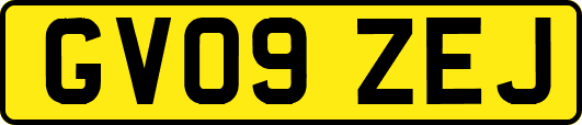 GV09ZEJ