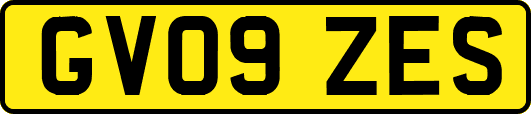 GV09ZES