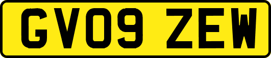 GV09ZEW